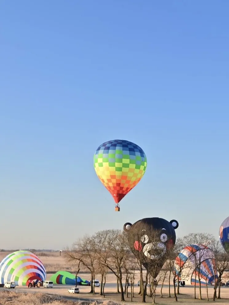 栃木県・渡良瀬遊水地エリアの空を飛行する気球